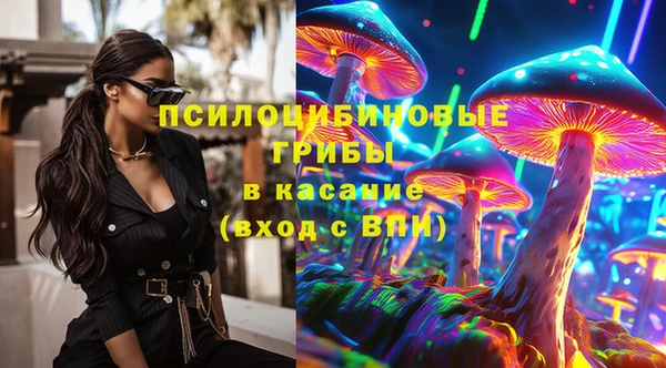 PSILOCYBIN Балабаново