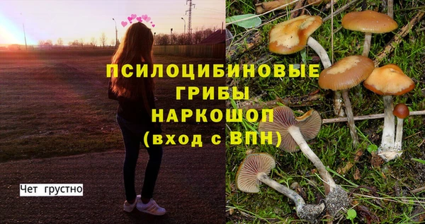 МДПВ Усинск