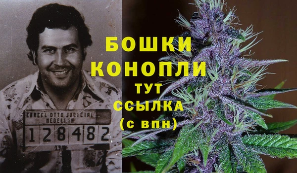 марки lsd Туринск